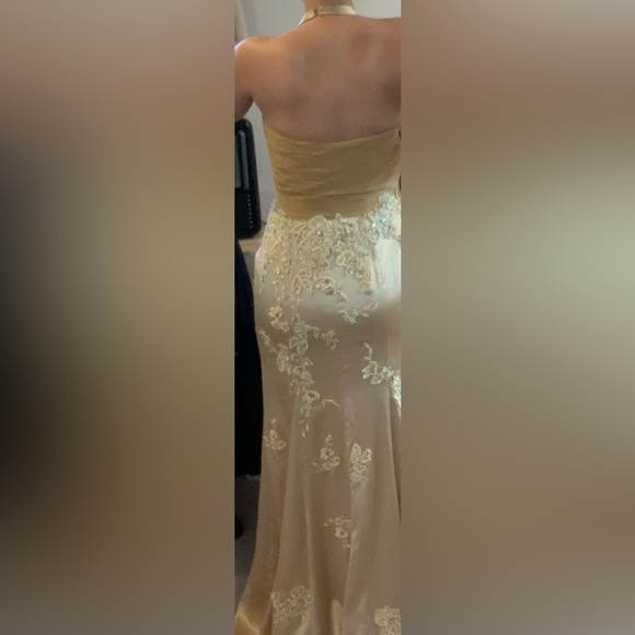 Cache Gold Evening Gown - Picture 2 of 11